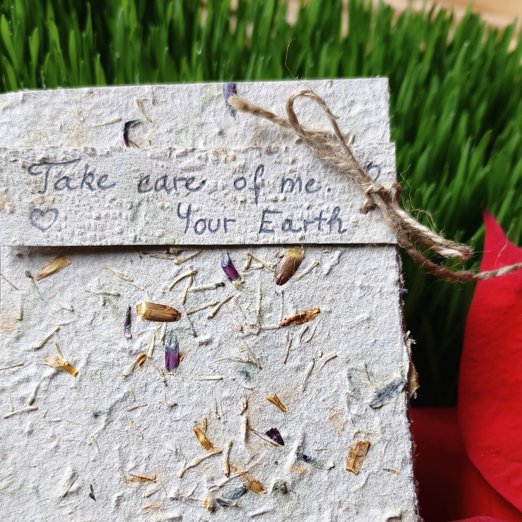 Rostoucí papír | Plantable paper