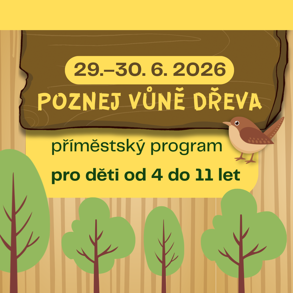 Poznej vůně dřeva: příměstský program pro děti